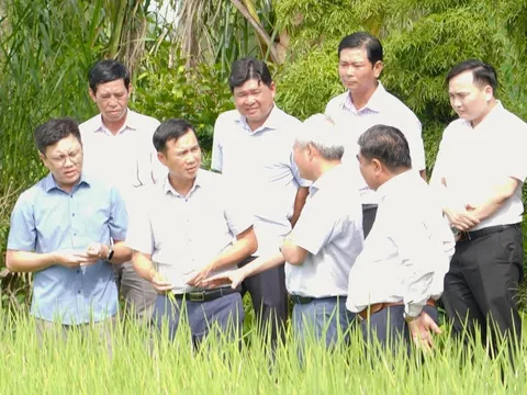 Ứng dụng khoa học và công nghệ gia tăng giá trị, nâng cao hiệu quả sản xuất