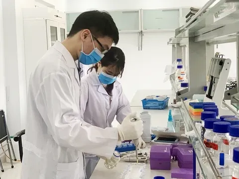 Thành tựu trong phát triển khoa học cơ bản