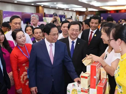 Chung tay phát triển hệ sinh thái khởi nghiệp sáng tạo Việt Nam