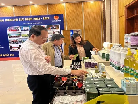 Thu hút nhân lực trình độ cao cho hoạt động khoa học, công nghệ địa phương