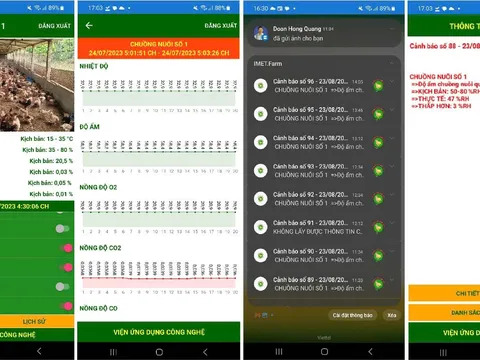 Thử nghiệm công nghệ mới vào quy trình chăn nuôi gia cầm quy mô lớn