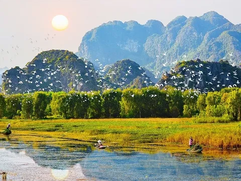 Đẩy mạnh các chương trình nghiên cứu KH&CN bảo tồn đa dạng sinh học và bảo vệ các loài hoang dã