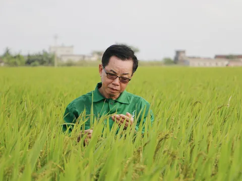 AHLĐ Trần Mạnh Báo: Tôi từng bị kiện vì dám chi tiền đưa cán bộ đi học về nghiên cứu giống