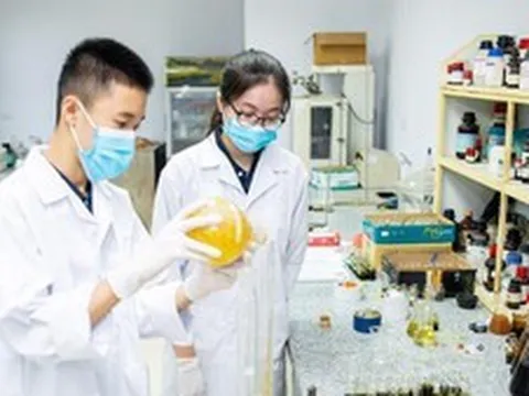 Khuyến khích thanh niên tích cực tham gia phát triển khoa học công nghệ, đổi mới sáng tạo, chuyển đổi số