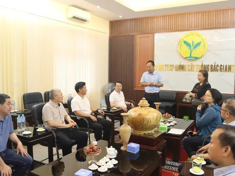 Công ty cổ phần Giống cây trồng Bắc Giang