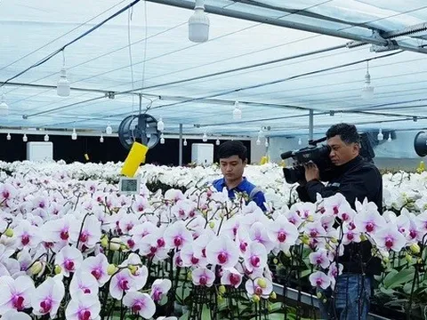 Quảng Trị kiện toàn Ban Chỉ đạo phát triển khoa học, công nghệ, đổi mới sáng tạo và chuyển đổi số
