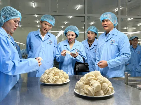 THỨ TRƯỞNG BỘ NỘI VỤ VÀ ĐOÀN KHÁCH ĐẠI BIỂU TRUNG ƯƠNG THAM QUAN NHÀ MÁY CHẾ BIẾN NGUYÊN LIỆU YẾN SÀO SANVINEST KHÁNH HÒA