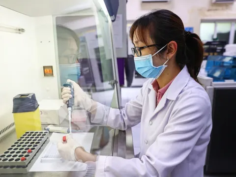 Bộ KH&CN hướng dẫn phân cấp, phân quyền quản lý nhà nước về khoa học công nghệ