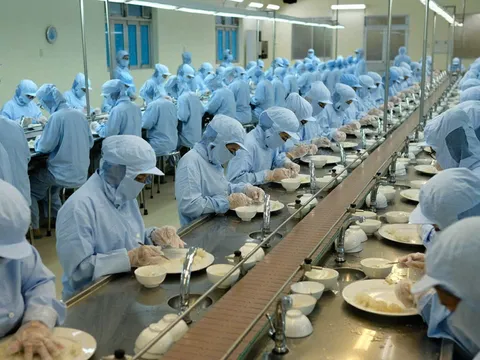 YẾN SÀO KHÁNH HÒA - TÔN VINH DI SẢN, SÁNG MÃI NIỀM TỰ HÀO