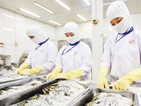 Tăng nguồn lực cho đổi mới sáng tạo bằng cơ chế quỹ