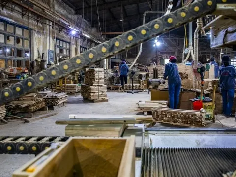 Công ty cổ phần Việt Trung Quảng Bình: 65 năm vượt khó, kiến tạo giá trị bền vững