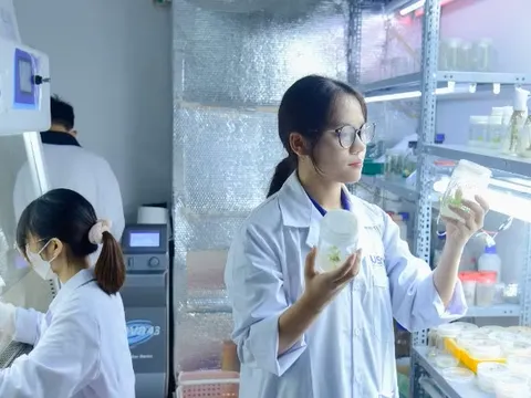 Chuẩn hóa tổ chức, hoạt động Quỹ khoa học, công nghệ và đổi mới sáng tạo từ Trung ương đến địa phương