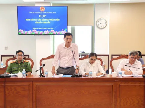 QUYẾT LIỆT NGĂN CHẶN TÌNH TRẠNG SĂN BẮT CHIM YẾN TRÁI PHÉP