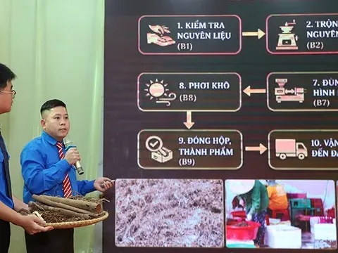 Thanh niên mang nông sản các địa phương đi tranh tài khởi nghiệp đổi mới sáng tạo