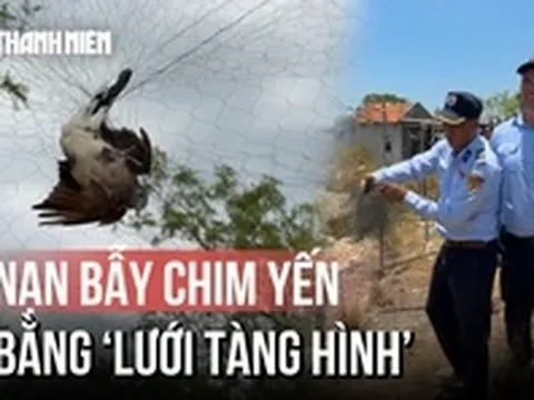 Khánh Hòa mạnh tay ngăn nạn săn bắt chim yến bằng ‘lưới tàng hình’